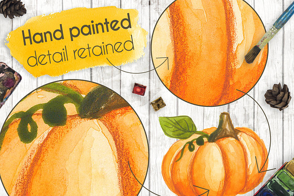 Watercolour Pumpkins in Illustrations - product preview 3