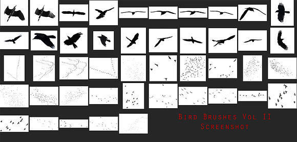 Bird Brushes Vol II in Photoshop Brushes - product preview 1