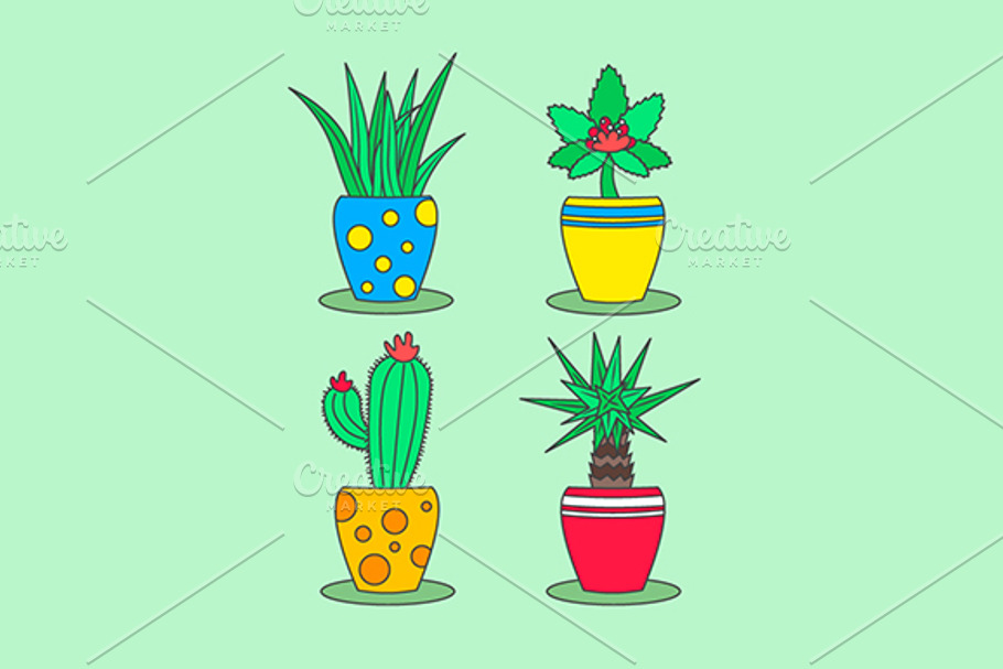Set of plants in pots