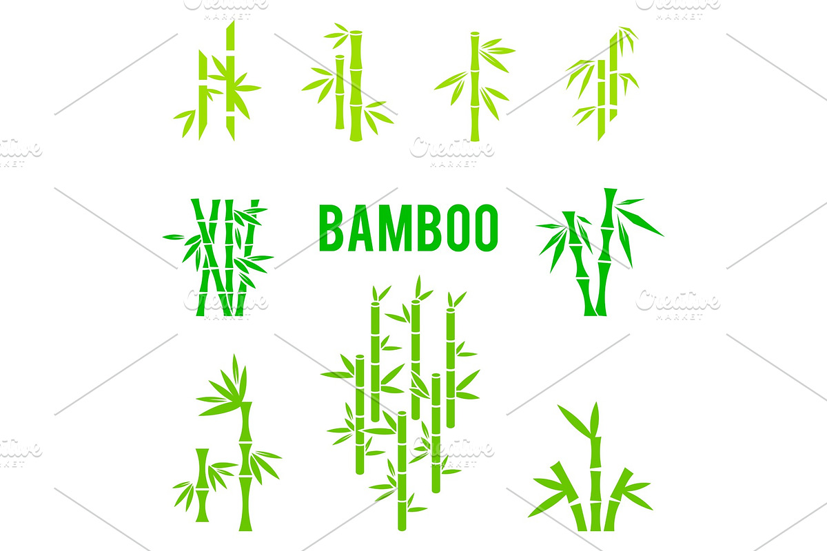 Bamboo stalks and leaves vector icons. in Illustrations - product preview 8