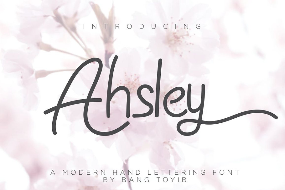 Ahsley - Beautiful Font in Script Fonts - product preview 8