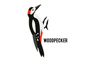 Great Spotted Woodpecker. Winter bird in a flat style. Forest animal.