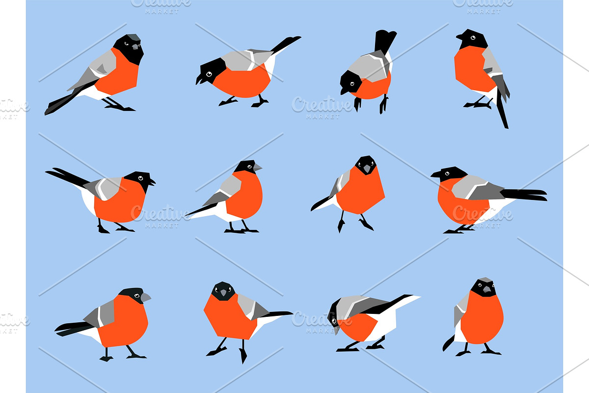 Bullfinches isolated on white background. in Illustrations - product preview 8
