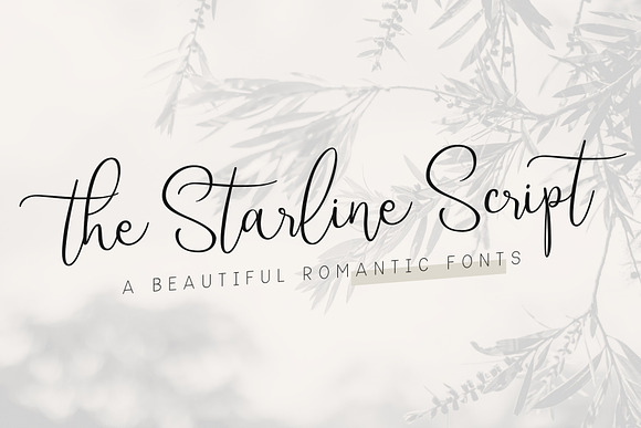 Starline | Beautiful Script Fonts in Script Fonts - product preview 9
