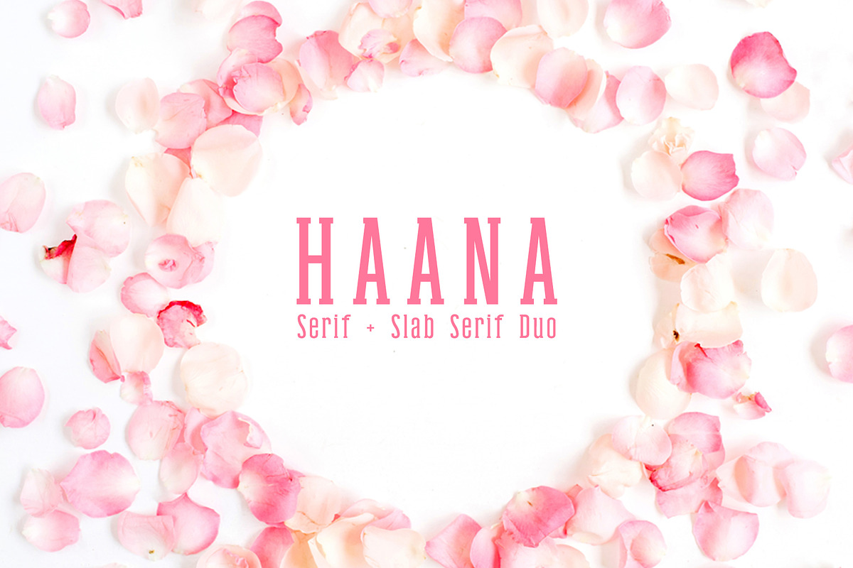 Haana Slab Serif Duo Font in Slab Serif Fonts - product preview 8