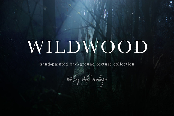 Wildwood Texture Collection in Textures - product preview 4