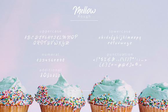 Mellow. Brush Font. Two Styles in Script Fonts - product preview 2