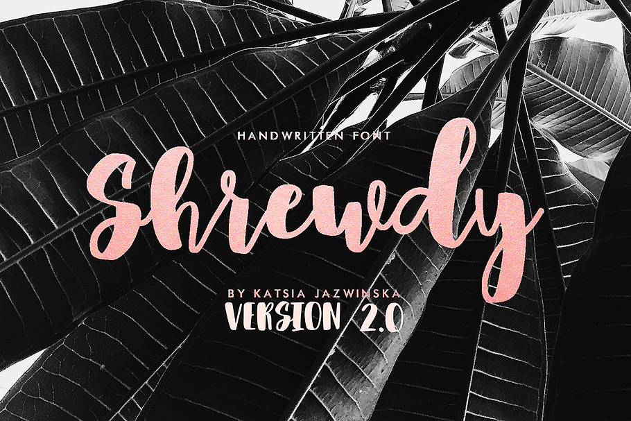 Shrewdy Script | Version 2.0 in Script Fonts - product preview 8
