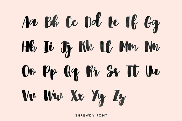 Shrewdy Script | Version 2.0 in Script Fonts - product preview 1