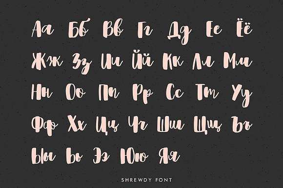 Shrewdy Script | Version 2.0 in Script Fonts - product preview 3