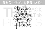 Bloom where you are planted SVG DXF