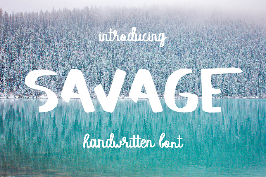 SAVAGE duo script font in Script Fonts - product preview 8