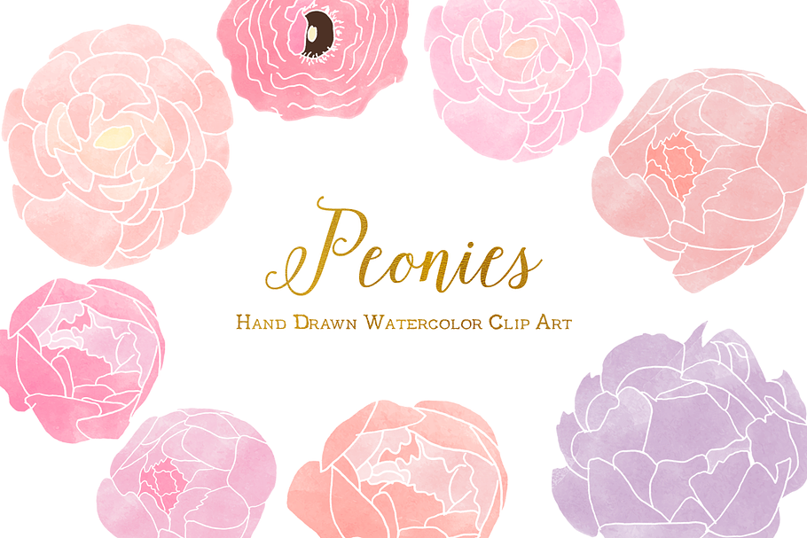 Watercolor Peony Clip Art Graphics in Illustrations - product preview 8