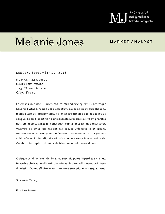 3 in 1 modern resume (2 pages) in Resume Templates - product preview 1