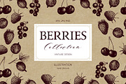 Hand Drawn Berries Collection