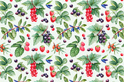 Watercolor illustrations of berries