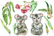 Watercolor Eucalyptus and Koala set.