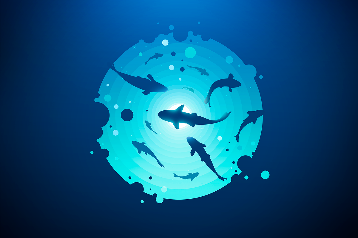 Undersea World in Illustrations - product preview 8
