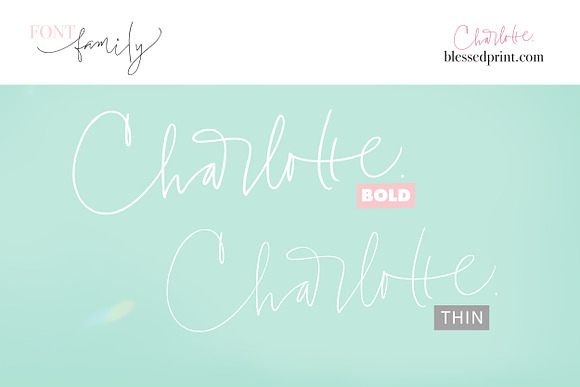 Charlotte Script with 120 ligatures in Script Fonts - product preview 13