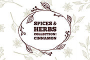 Spices & Herbs: Cinnamon