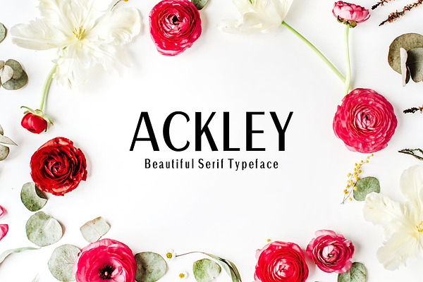 Ackley Sans Serif Font Family