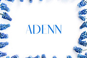 Adenn Sans Serif 4 Font Family Pack