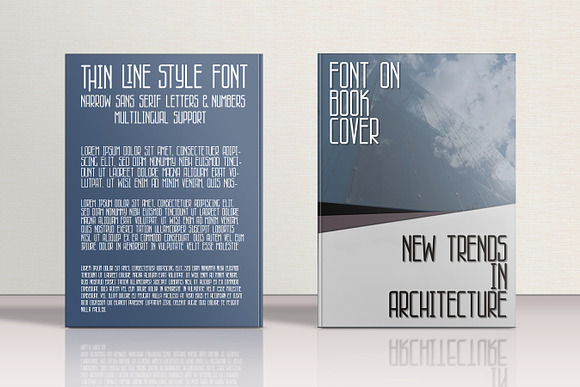 Skyscraper thin line style font. in Display Fonts - product preview 2