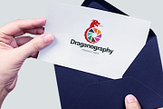 Dragon Photography