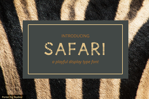 Safari Playful Display Font Typeface