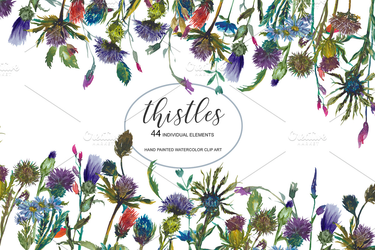 Watercolor Thistle Clip Art Set in Illustrations - product preview 8