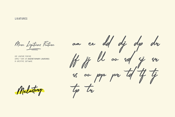 Signature Font - Melastory Script in Signature Fonts - product preview 4