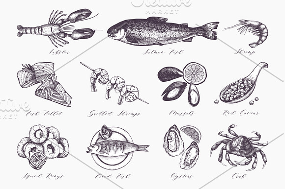 Vintage Seafood Sketch Collection in Illustrations - product preview 2