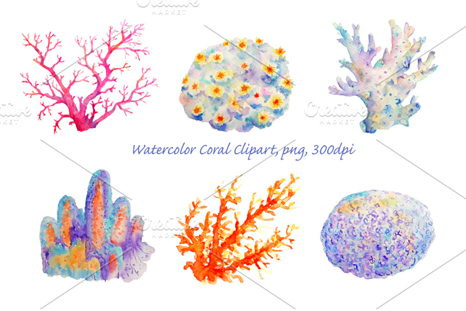 Watercolor Clipart Coral Collection