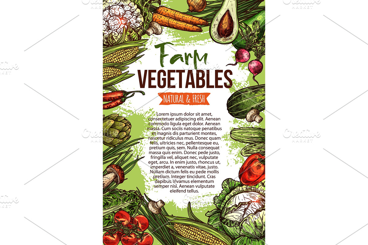 Vector sketch poster of natural farm vegetables in Illustrations - product preview 8