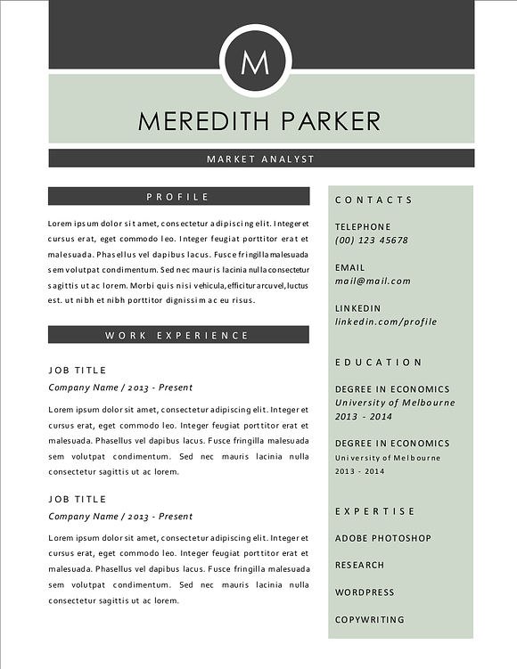 Elegant 3 in 1 Word resume 2 pages in Resume Templates - product preview 1