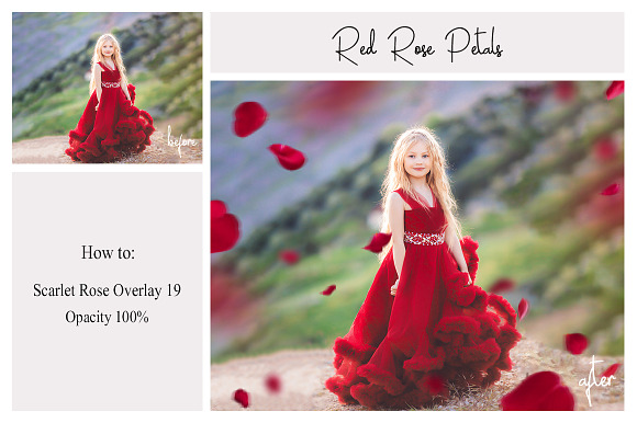 130 Red Rose Petals Overlays PNG in Photoshop Layer Styles - product preview 1