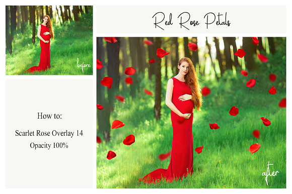 130 Red Rose Petals Overlays PNG in Photoshop Layer Styles - product preview 2