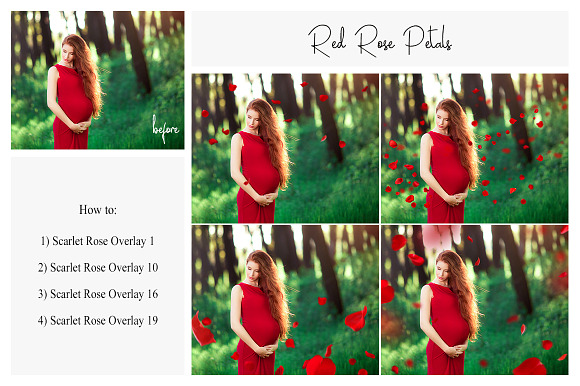 130 Red Rose Petals Overlays PNG in Photoshop Layer Styles - product preview 3