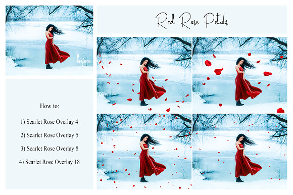 130 Red Rose Petals Overlays PNG in Photoshop Layer Styles - product preview 4
