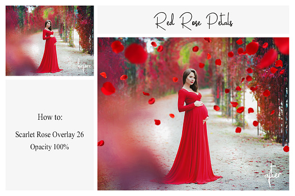 130 Red Rose Petals Overlays PNG in Photoshop Layer Styles - product preview 5