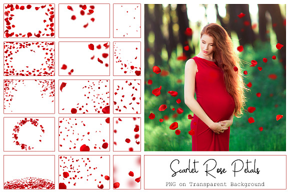 130 Red Rose Petals Overlays PNG in Photoshop Layer Styles - product preview 7