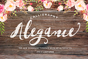 Alegance Typeface