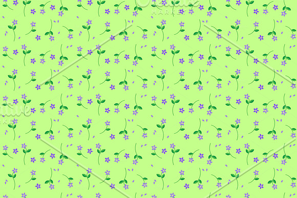 8 flowers seamless patterns in Patterns - product preview 1
