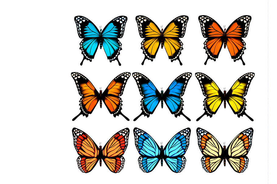 Collection of colorful butterflies in Illustrations - product preview 8