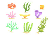 Set of cartoon underwater plants, seaweeds and aquatic marine algae vector Illustrations