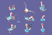 Cartoon seagulls with different poses and emotions set, cute comic bird characters