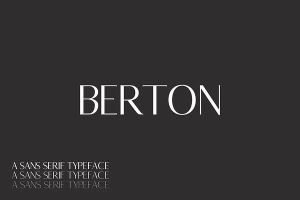 Berton Sans Serif 3 Font Family Pack