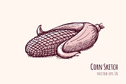 Corn Sketch