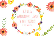 Watercolour Flowers & Wreath