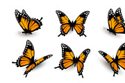 Six butterflies set